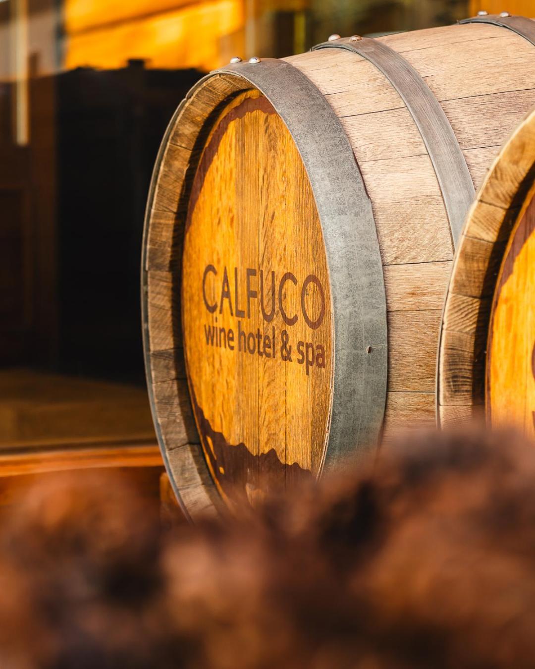 Calfuco Wine Hotel & Spa Puerto Manzano Bagian luar foto